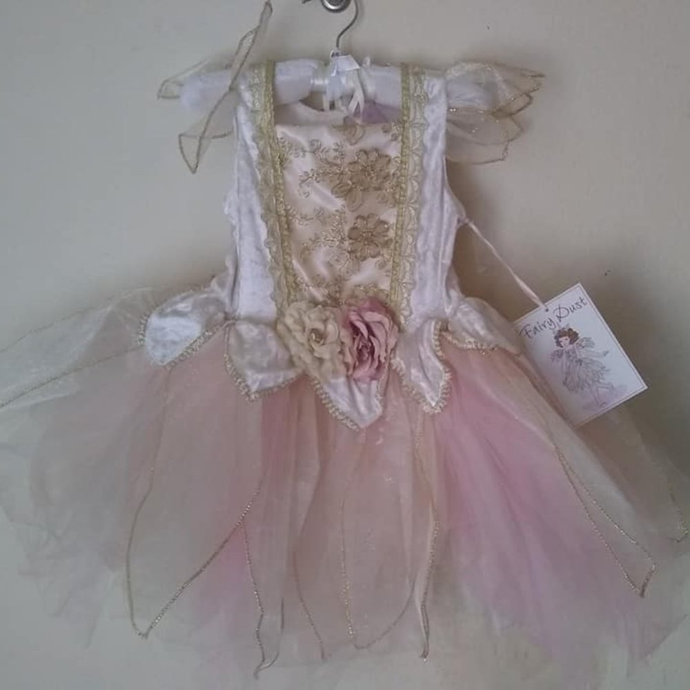 Girl's fairy unicorn costume playset